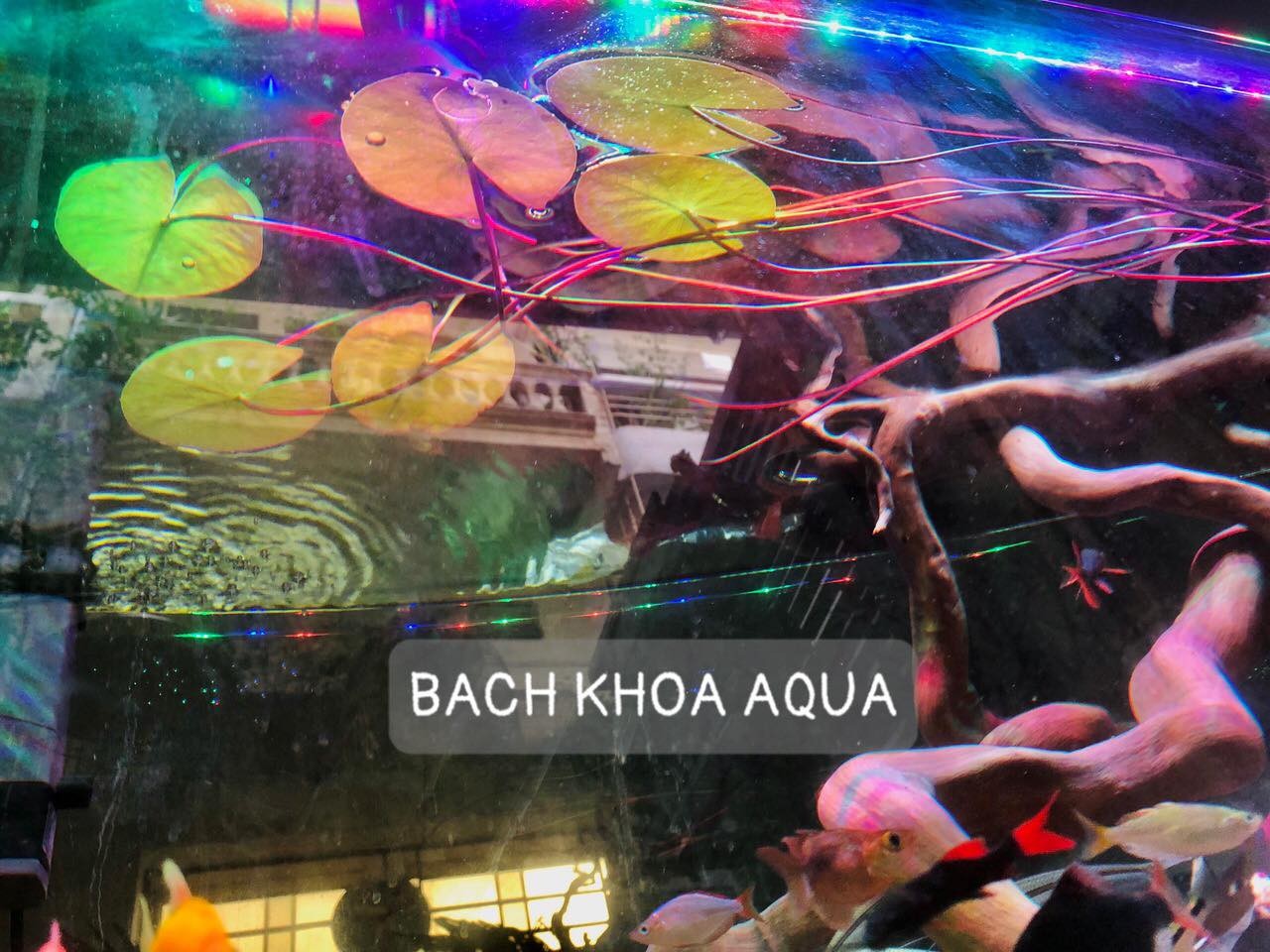 Súng đỏ
